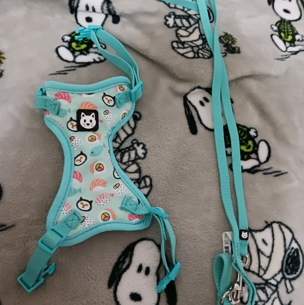 cat leash